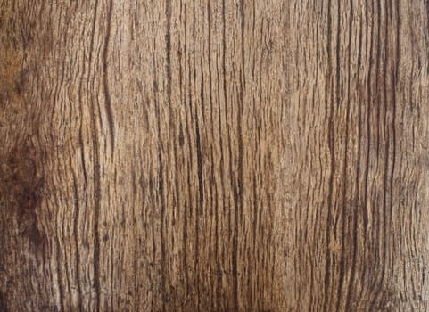 beautiful natural texture of bark wood plank use as nature wooden textured ,background or backdrop