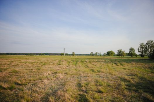wide angle view of natural meadow in early spring