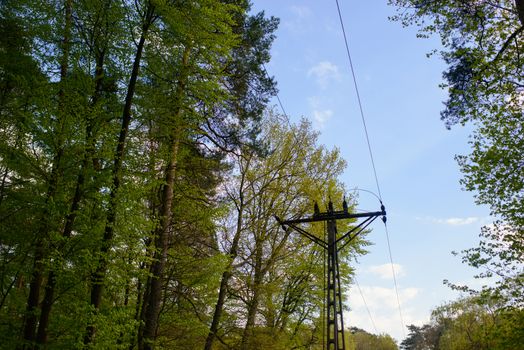 high voltage post in forest in early spring time