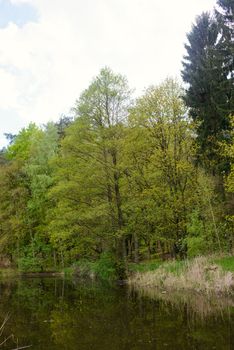 Spring Park. Lake in the spring park. Spring landscape.