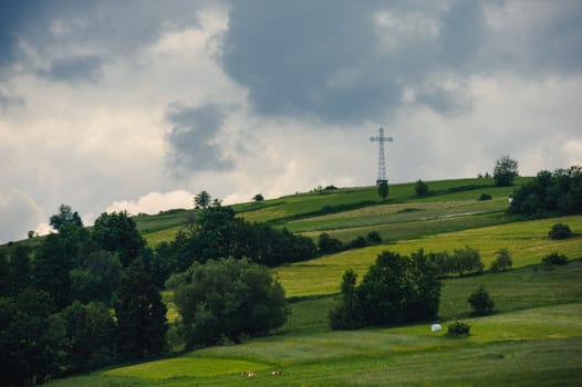Hills covered with green grass under blue sky Summer landscape background