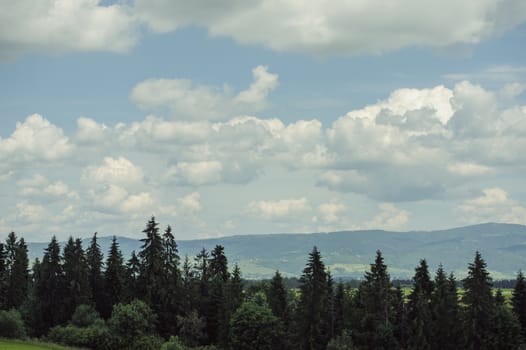 summer mountains green grass and blue sky landscape.