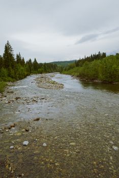 mountain river with stones in summer time