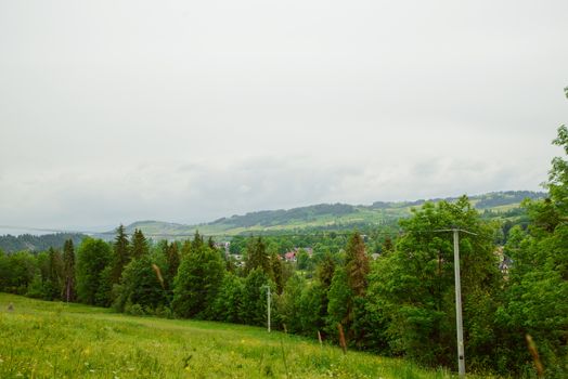 field of spring grass and mountain in the summer