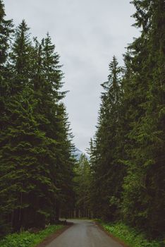 asphalt road in mountain in summer time