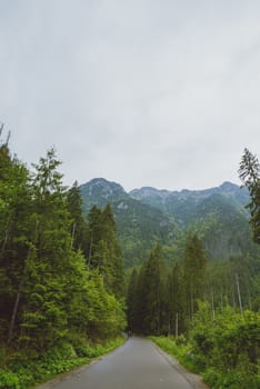 asphalt road in mountain in summer time