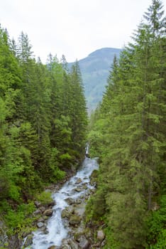 Mountains and meadows with a small creek in summer