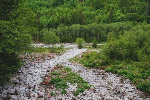 hiking stone path in the mountains in summer