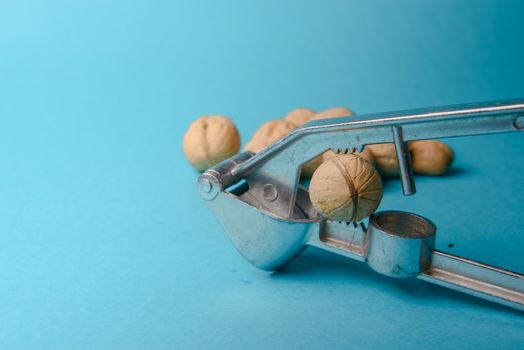 Walnuts with nutcracker, walnuts close-up, walnuts on a blue background