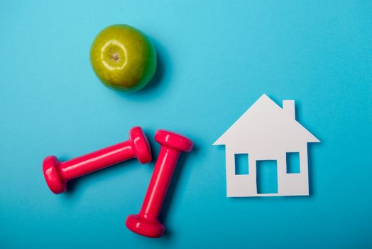 Pair of pink 1 kg dumbbells on blue background and water bottle