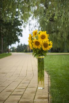Bouquet of sunflowers