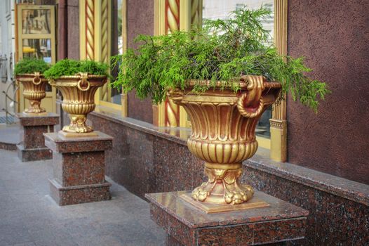 green plant inside big concrete vase on the city street 