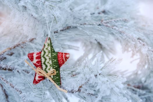 Christmas star on a snowy tree