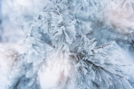 rough blue holiday cover with many snowflakes 