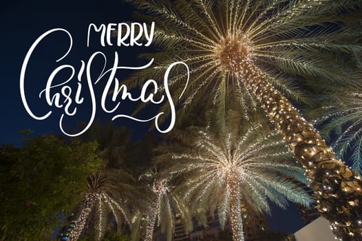 christmas background palm tree with text Merry Christmas. Calligraphy and lettering