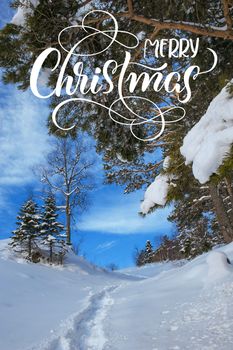 Winter landscape with fresh snow in a mountain forest and text Merry Christmas. Calligraphy lettering.