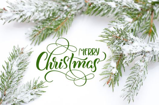 Branch of Christmas tree in snow with text Merry Christmas. Calligraphy lettering.