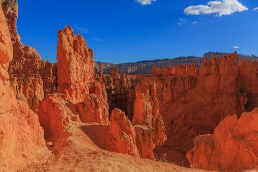 Amazing scenic view of the hoodoos. Bryce Canyon National Park, Utah, Unated States