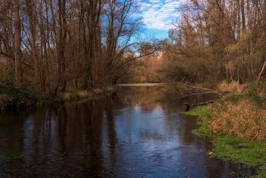 wonderful views of the Ticino river and the forest