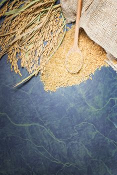 Brown rice uncooked in a bag with a pile of brown rice with over a full spoonful of rice and spike rice on table background.