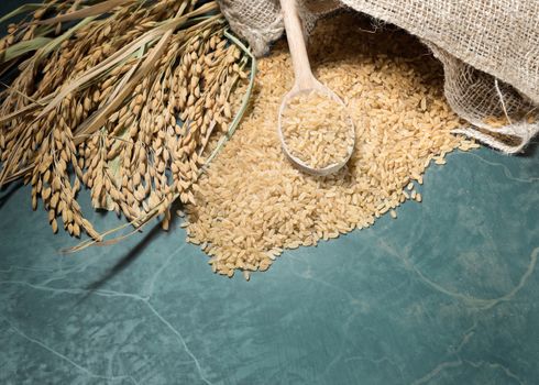 Brown rice uncooked in a bag with a pile of brown rice with over a full spoonful of rice and spike rice on table background.