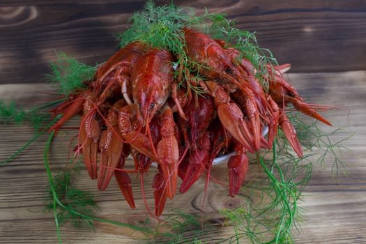 Plate of red boiled crayfishes with claws and fennel on wooden background