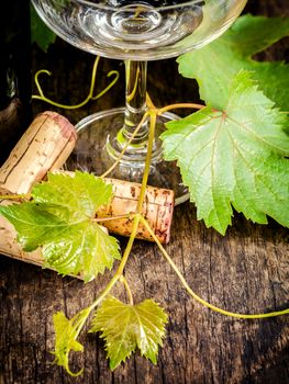 Close up wine cork with grape vine and wine glass on rustic wooden table. Shallow depth of field . Dinning and Wining concept .