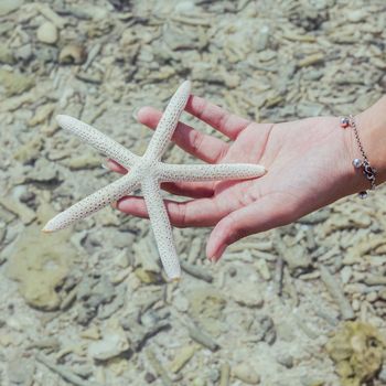 Closeup of Star fish in girl 's hand at tropical beach. Journey  and leisure concept. Shallow depth of field.