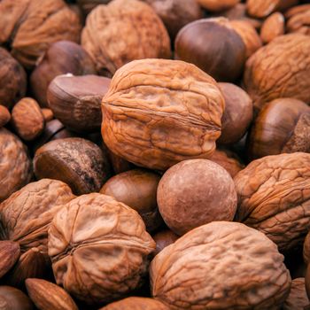 Different kinds of nuts in shells ,cashew, almond, walnut, hazelnut, pistachio, hazelnuts, pecan and macadamia.