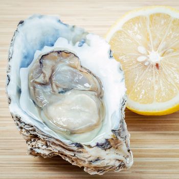 Fresh Oysters with lemon on  wooden background. Opened Oysters with selective focus on wooden texture .