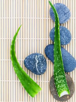 Aloe vera on Stones spa treatment scene natural spas ingredients for skin care in zen like concepts.