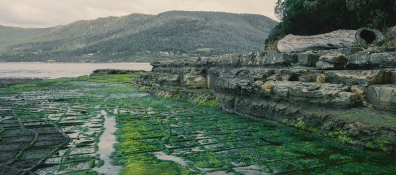 View of Tessellated Pavement in Pirates Bay, Tasmania.