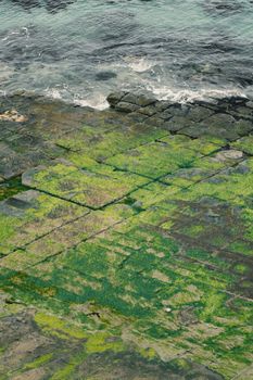 View of Tessellated Pavement in Pirates Bay, Tasmania.