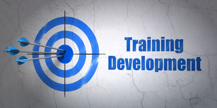 Success Education concept: arrows hitting the center of target, Blue Training Development on wall background, 3D rendering