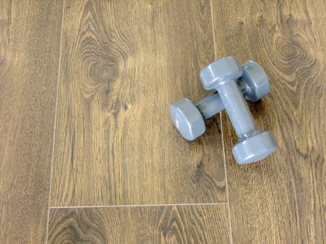 Two grey Dumpbells are put on the dark wooden Floor