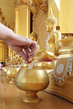 Give coin in alms bowl, a man put a Baht coin in a monk bowl for making merit or donation, buddhism Thai people donating money for temple, row of bowl