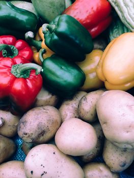 Closeup view of fresh potato and sweet pepper, view group of many potato and sweet pepper, potato and sweet pepper background