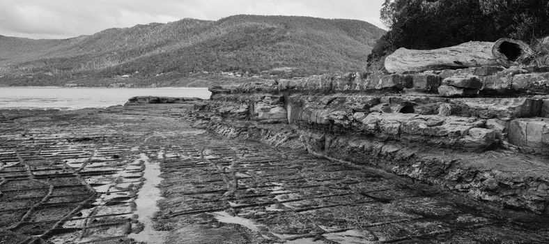 View of Tessellated Pavement in Pirates Bay, Tasmania. Black and White.