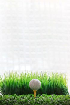 golf sport and green 