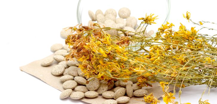 picture of a Perforate St Johns-Wort Flowers and Herbal pills on White Background