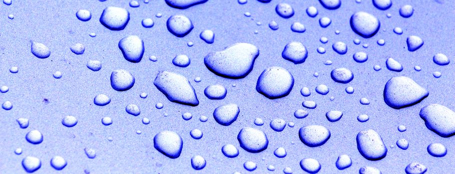 picture of a water or rain drops on a car surface