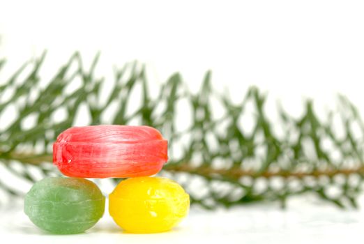 picture of a evergreen tree twigs and sweet candies