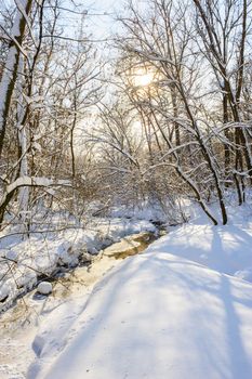 Snow covered winter trees, blue sky at background