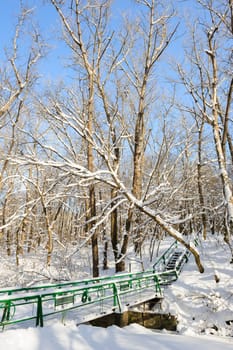 Snow covered winter trees, blue sky at background