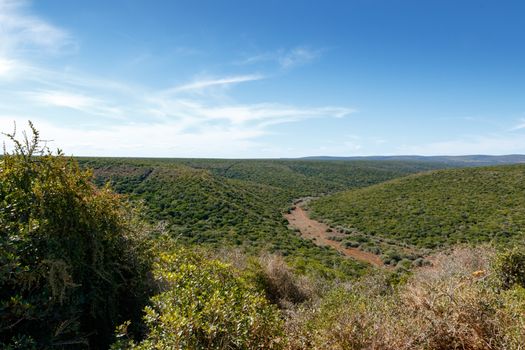 Grass Landscape with cloudy skies in Addo Elephant Park.