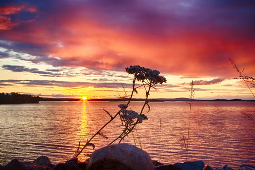 Dusk after a heavy thunderstorm in northern Finland