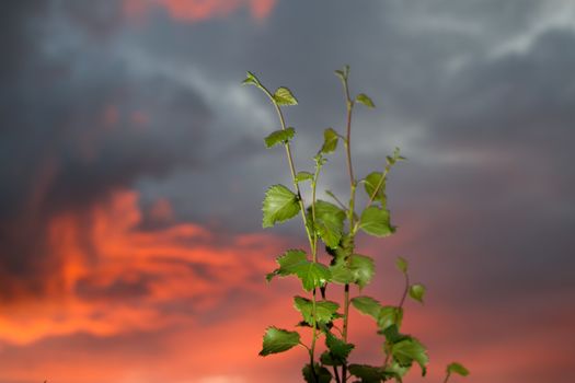 Dusk after a heavy thunderstorm in northern Finland
