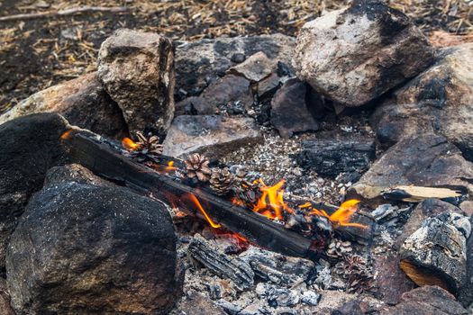 A campfire in the wilderness of north Finland