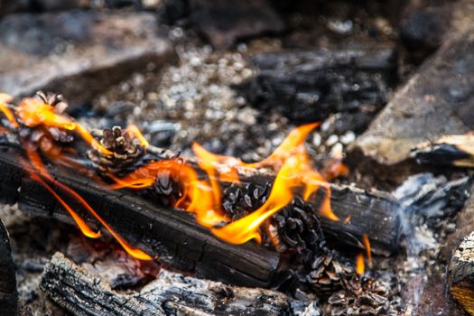 A campfire in the wilderness of north Finland