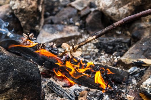 A campfire in the wilderness of north Finland